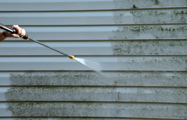 Best Mold Cleaning Services  in Narrows, VA