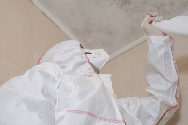 Best Fast Mold Removal  in Narrows, VA