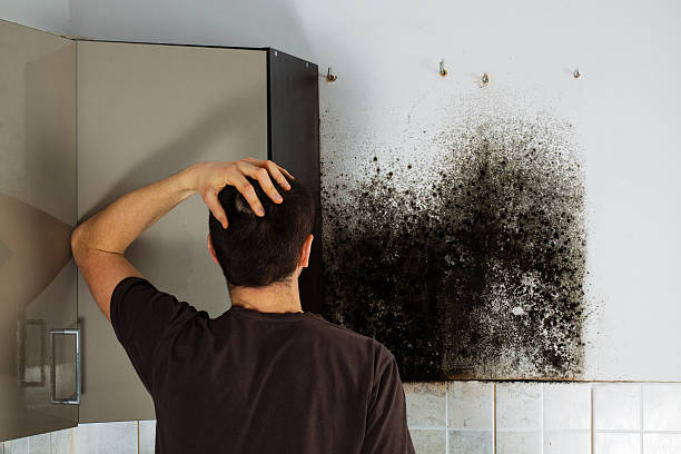 Best Emergency Mold Removal  in Narrows, VA